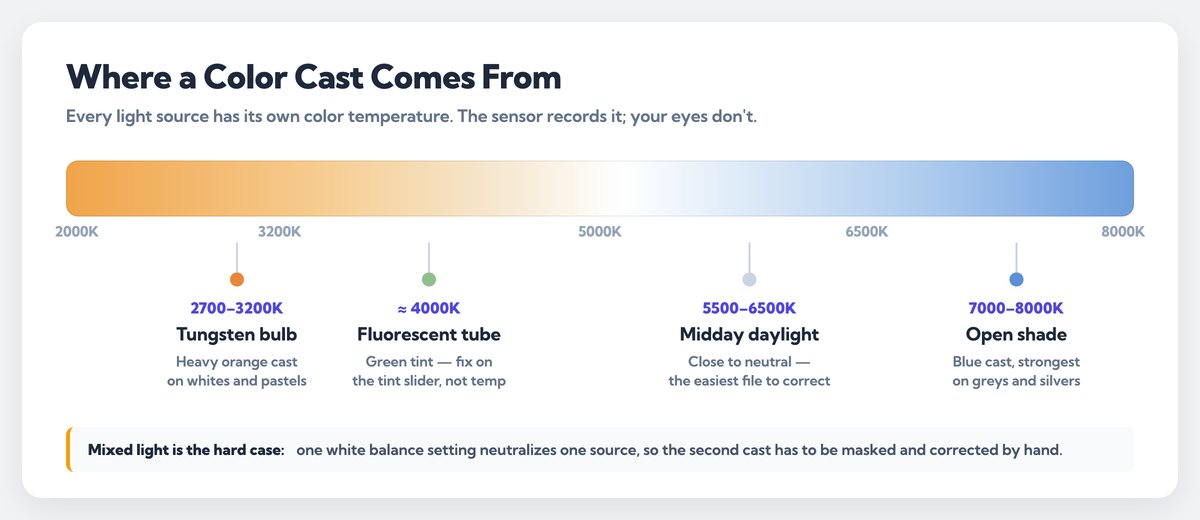 Color temperature scale from 2000K to 8000K showing which light source causes an orange, green or blue color cast in product photos